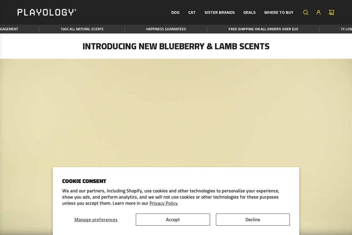 Playology homepage screenshot