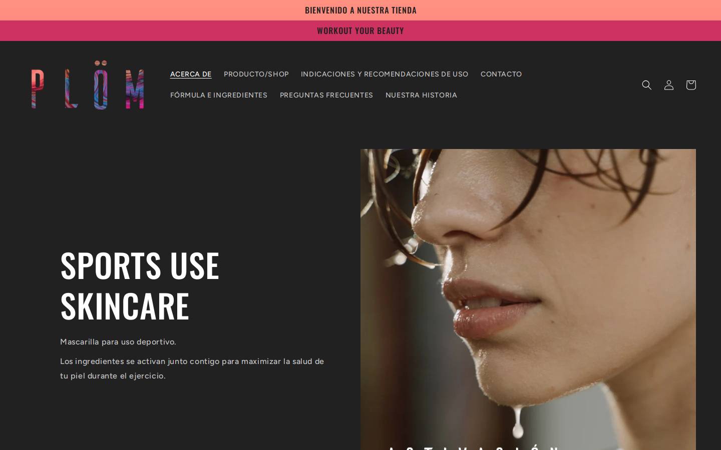 plom.com.mx homepage screenshot