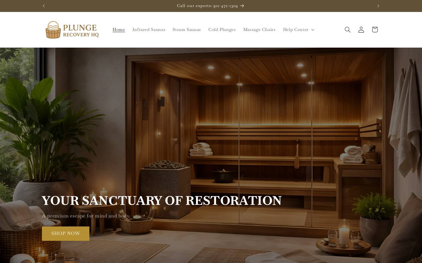 plungerecoveryhq.com homepage screenshot