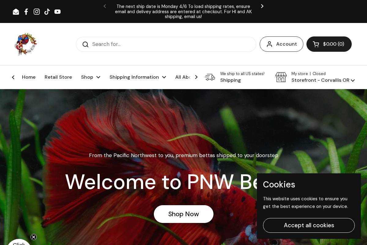 pnwbettas.com homepage screenshot