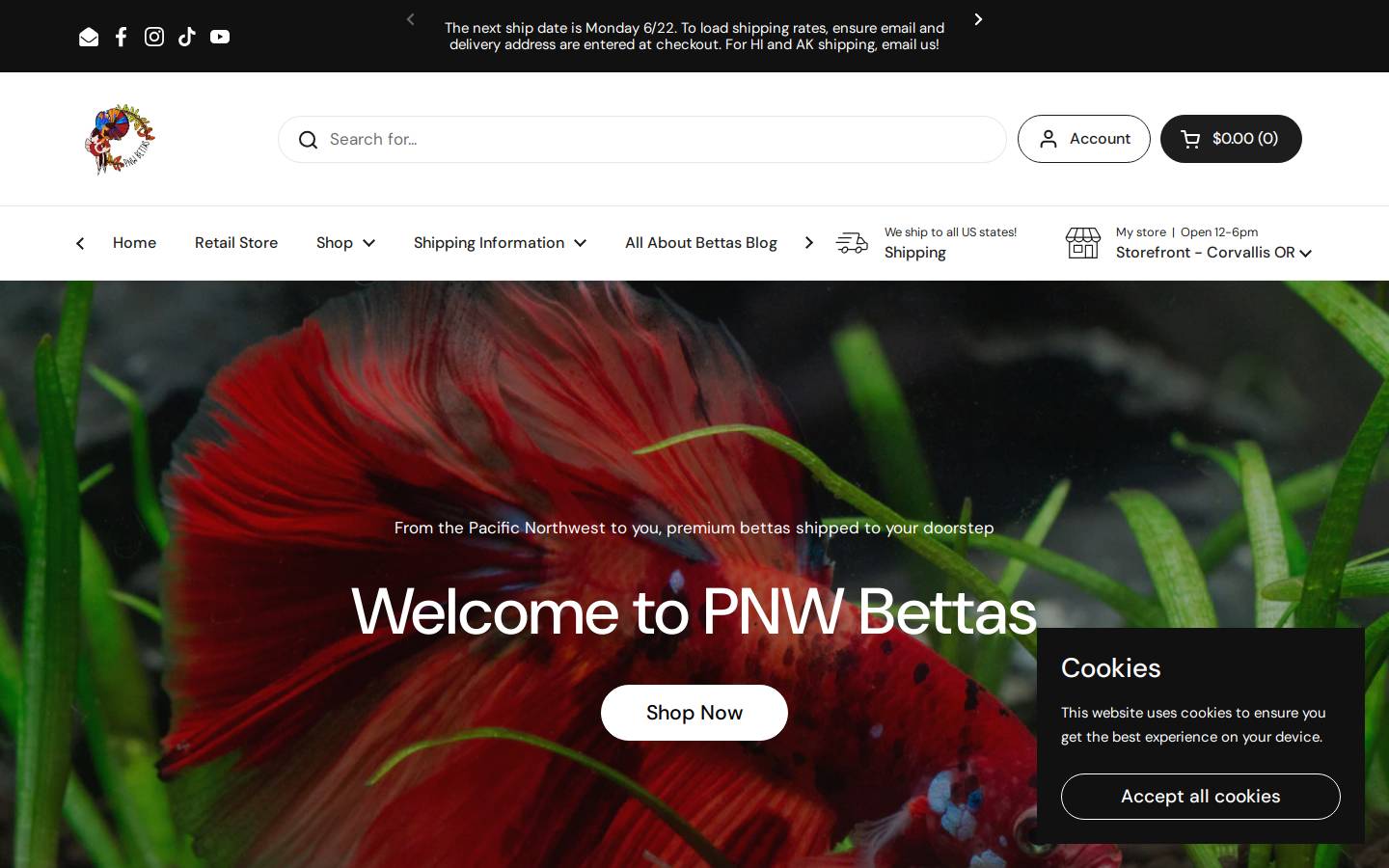 pnwbettasaquaria.com homepage screenshot