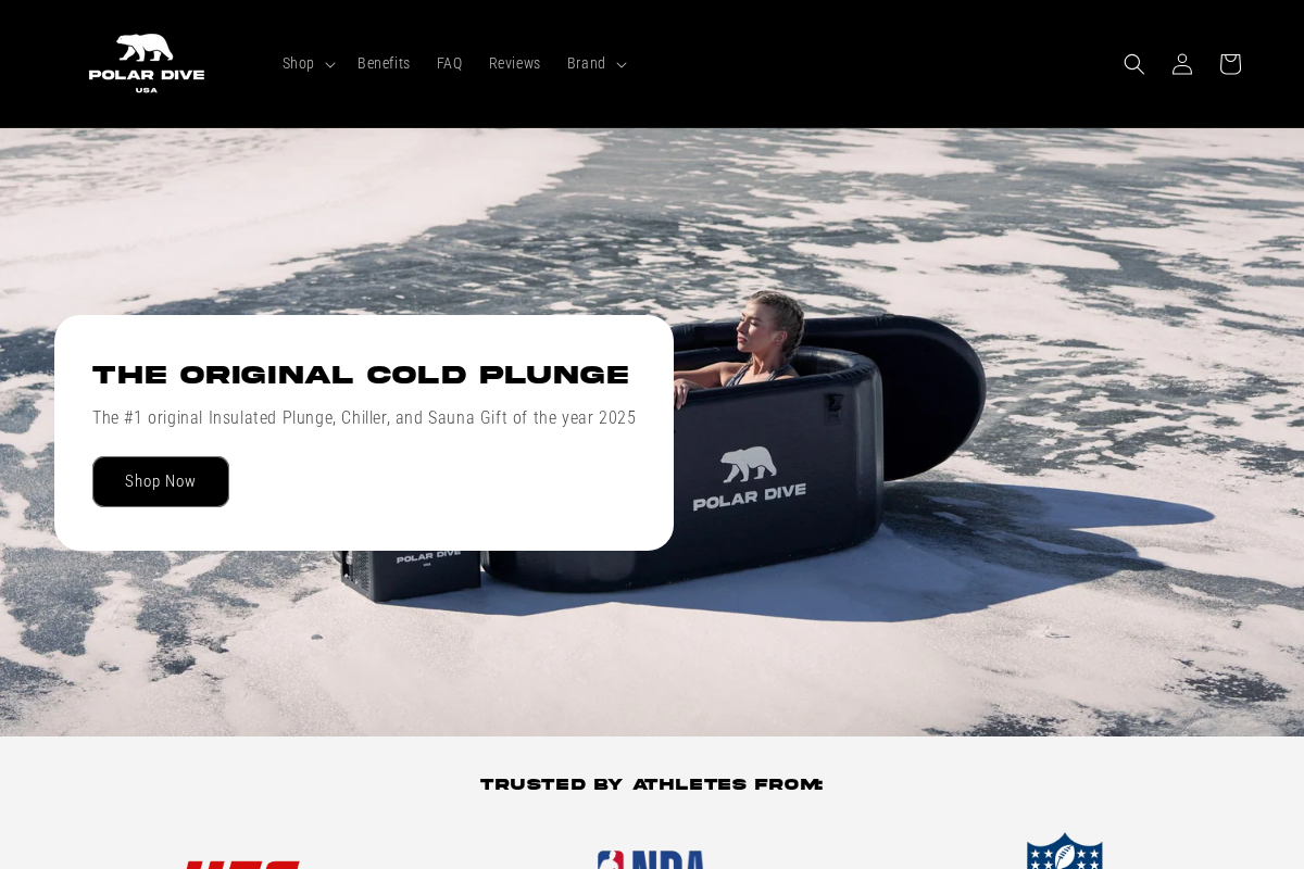 Polar Dive USA homepage screenshot