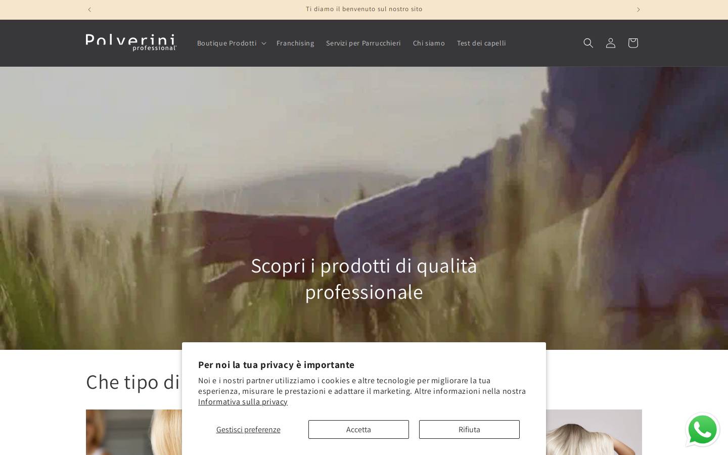 polverinistore.com homepage screenshot