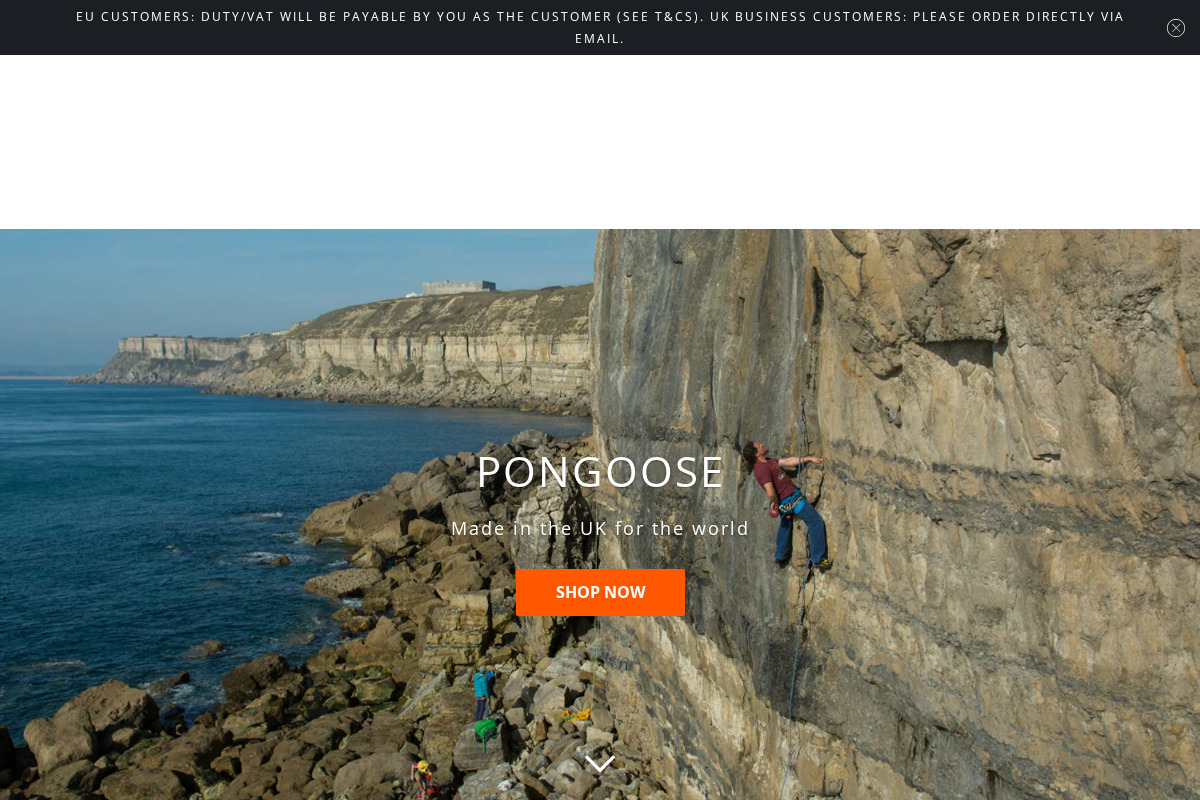 Pongoose Ltd homepage screenshot