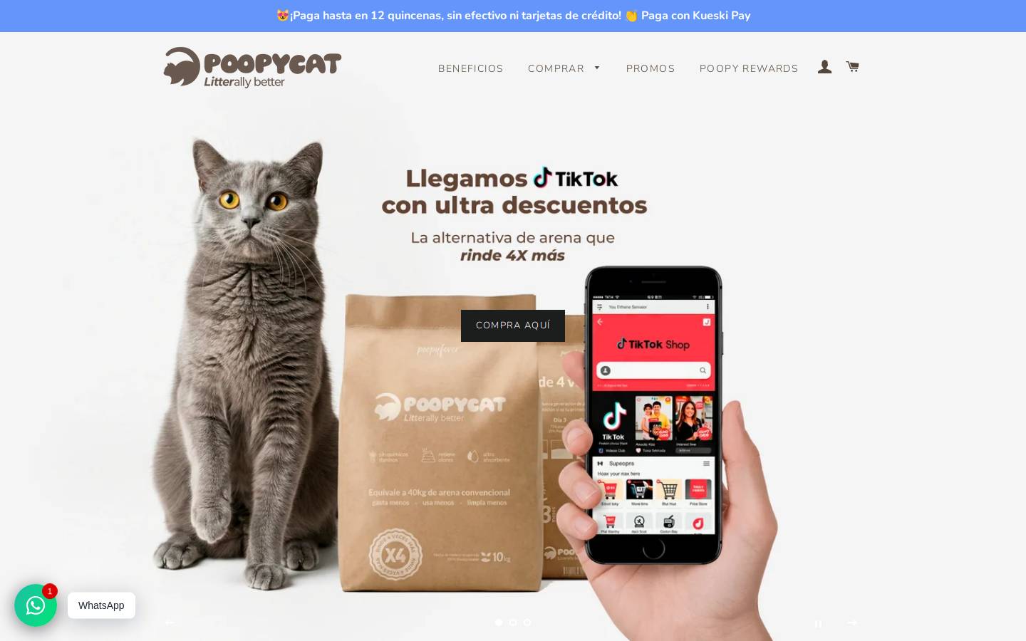 poopyfever.com.mx homepage screenshot