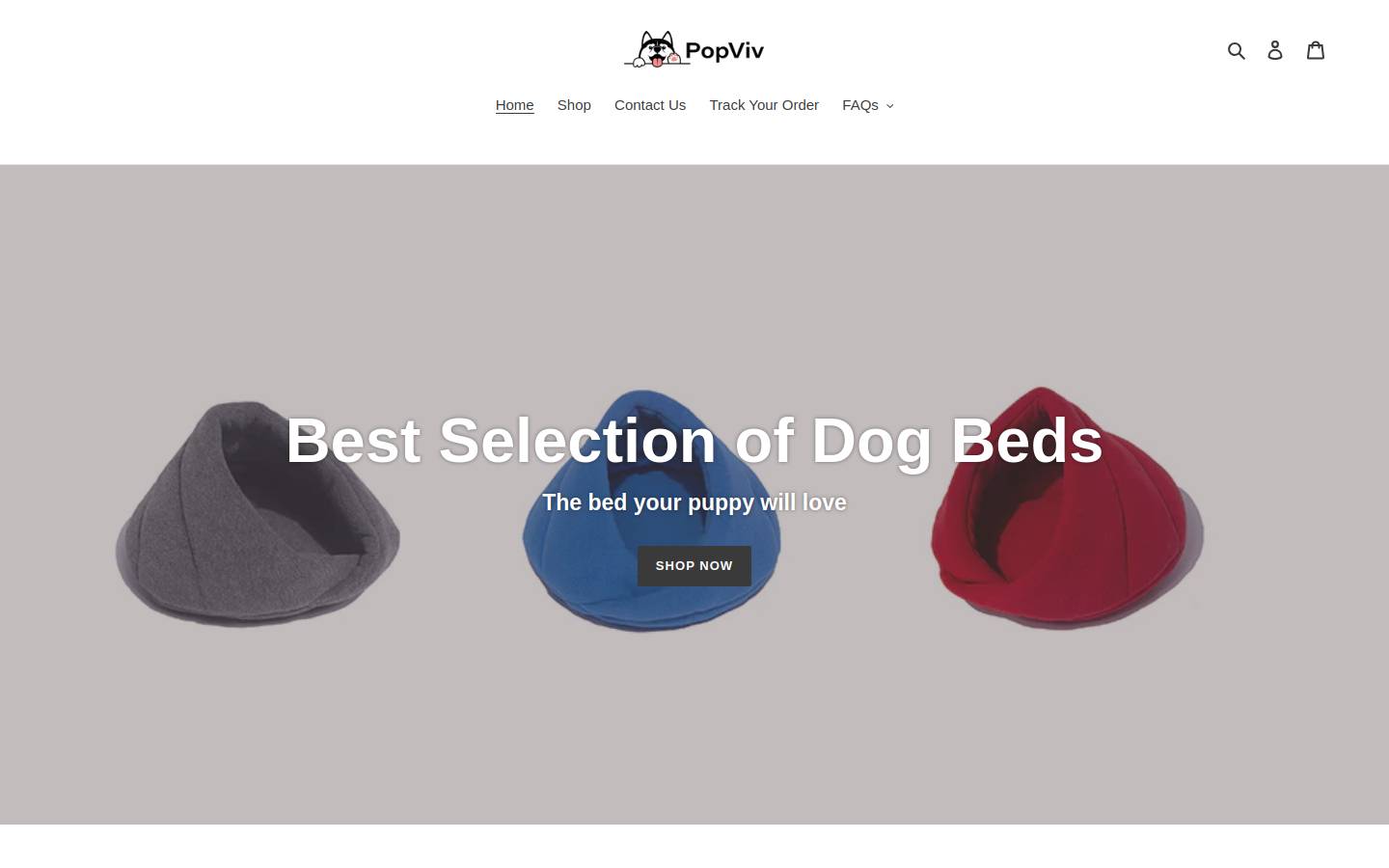 popviv.com homepage screenshot