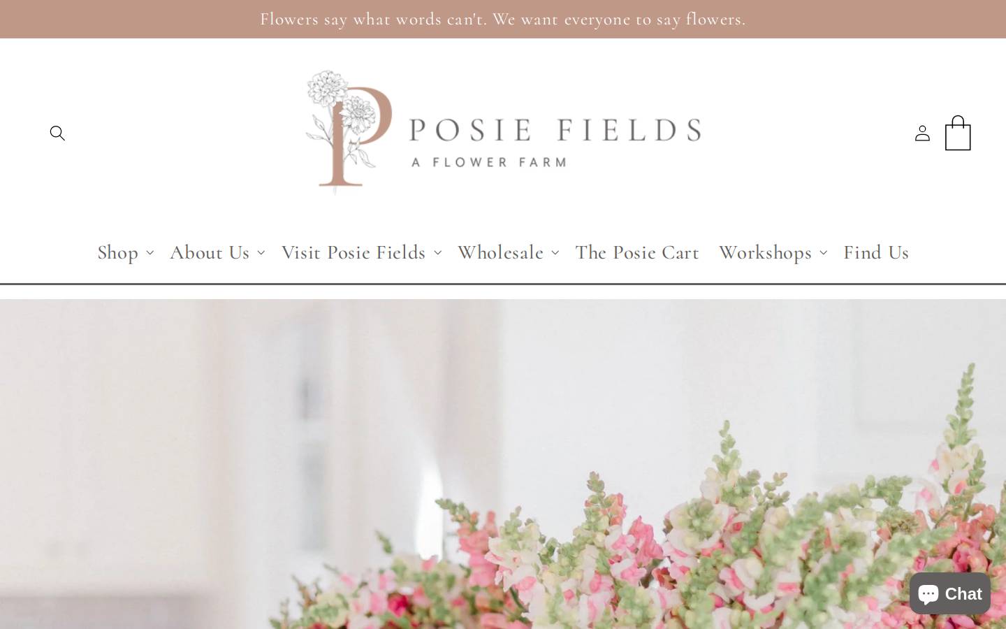 posiefields.com homepage screenshot