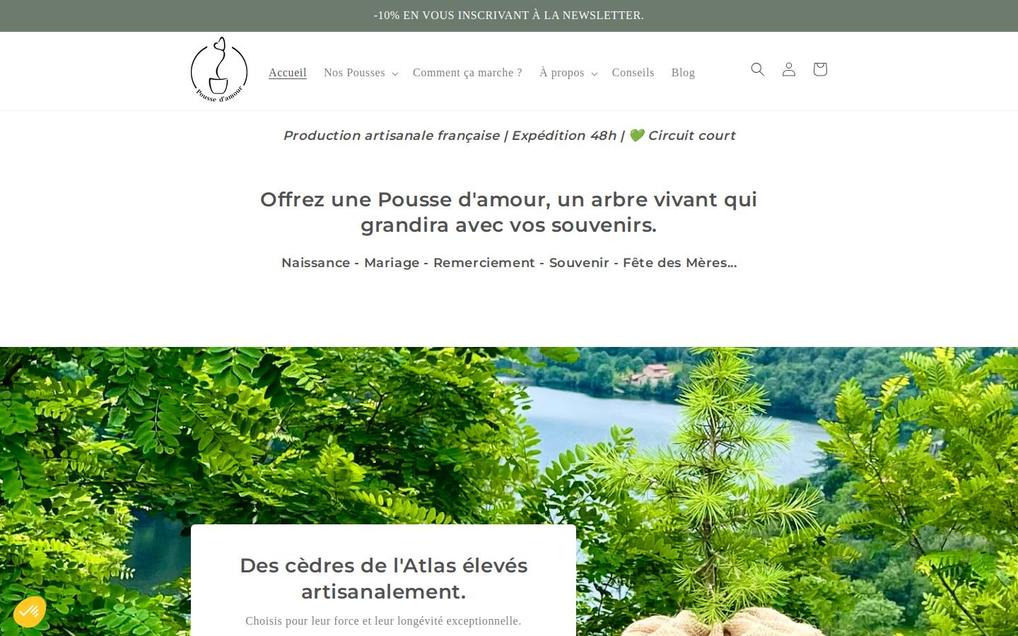 poussedamour.com homepage screenshot