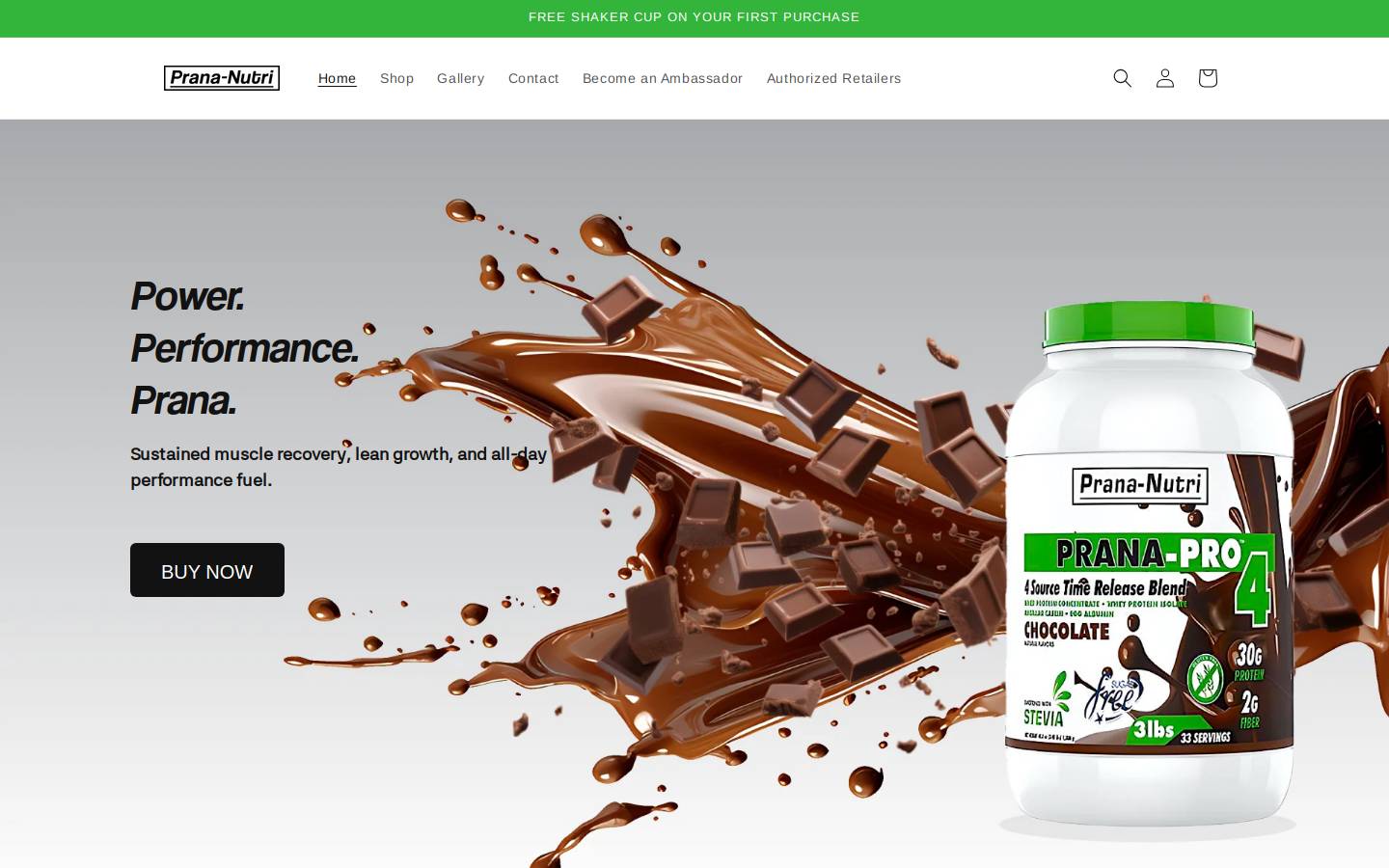 pranaprousa.com homepage screenshot