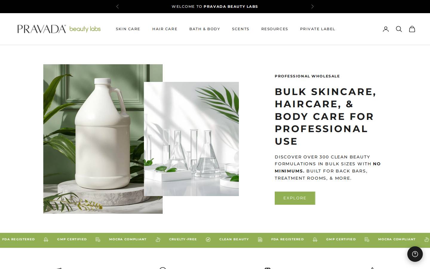pravadaprofessional.com homepage screenshot