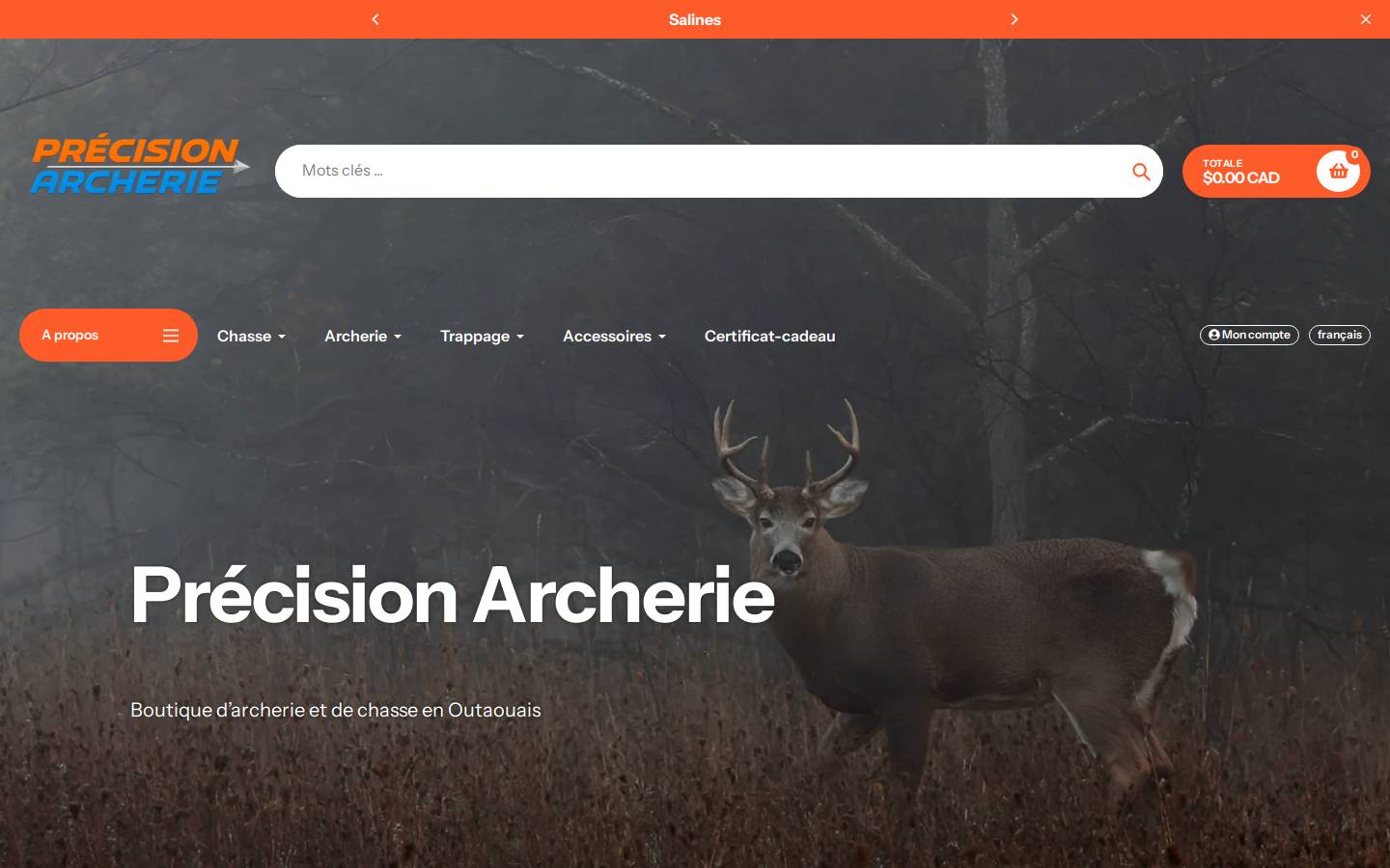 precisionarcherie.ca homepage screenshot