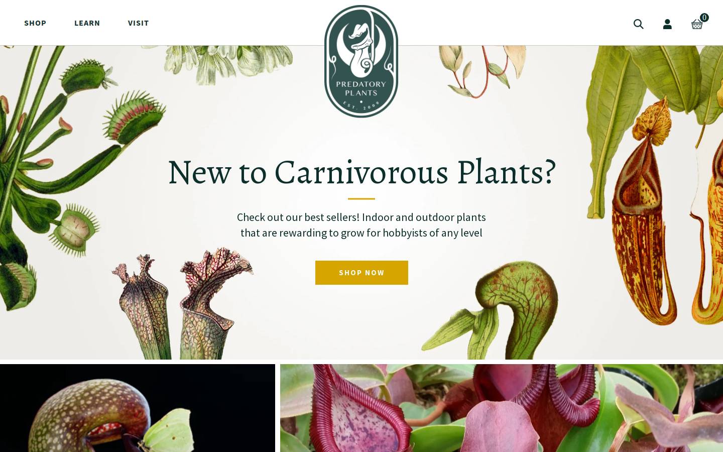 Predatory Plants homepage screenshot