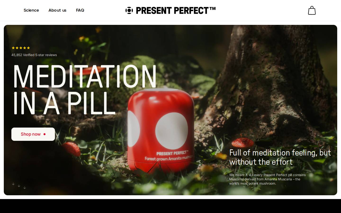 present-perfect.com homepage screenshot