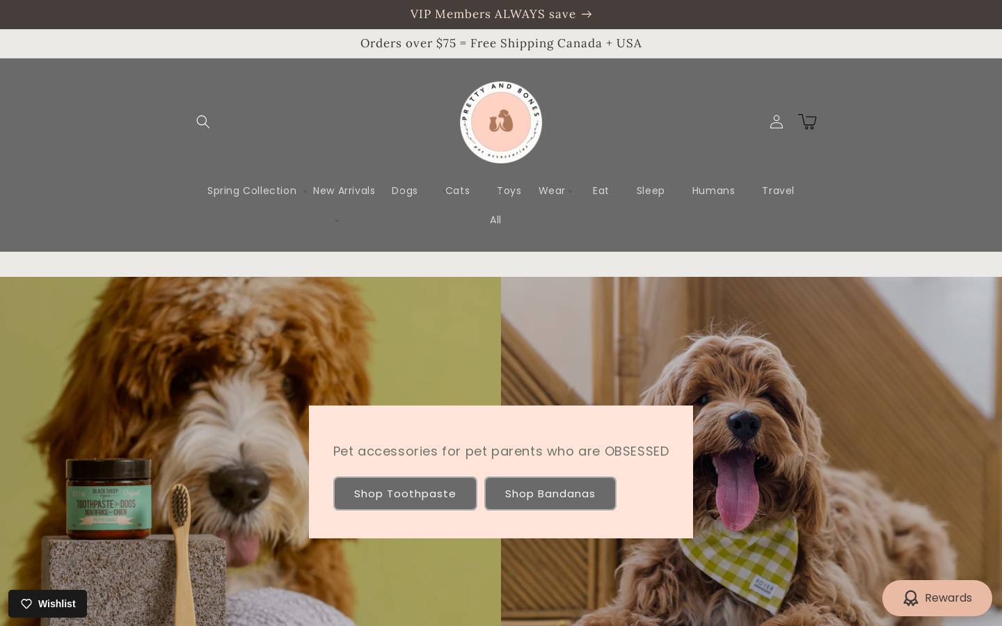 prettyandbones.com homepage screenshot