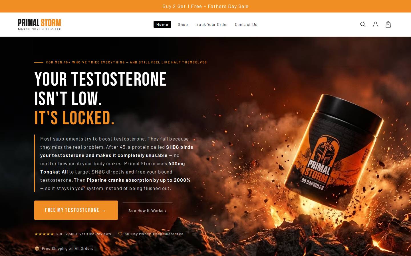 Primal Storm homepage screenshot