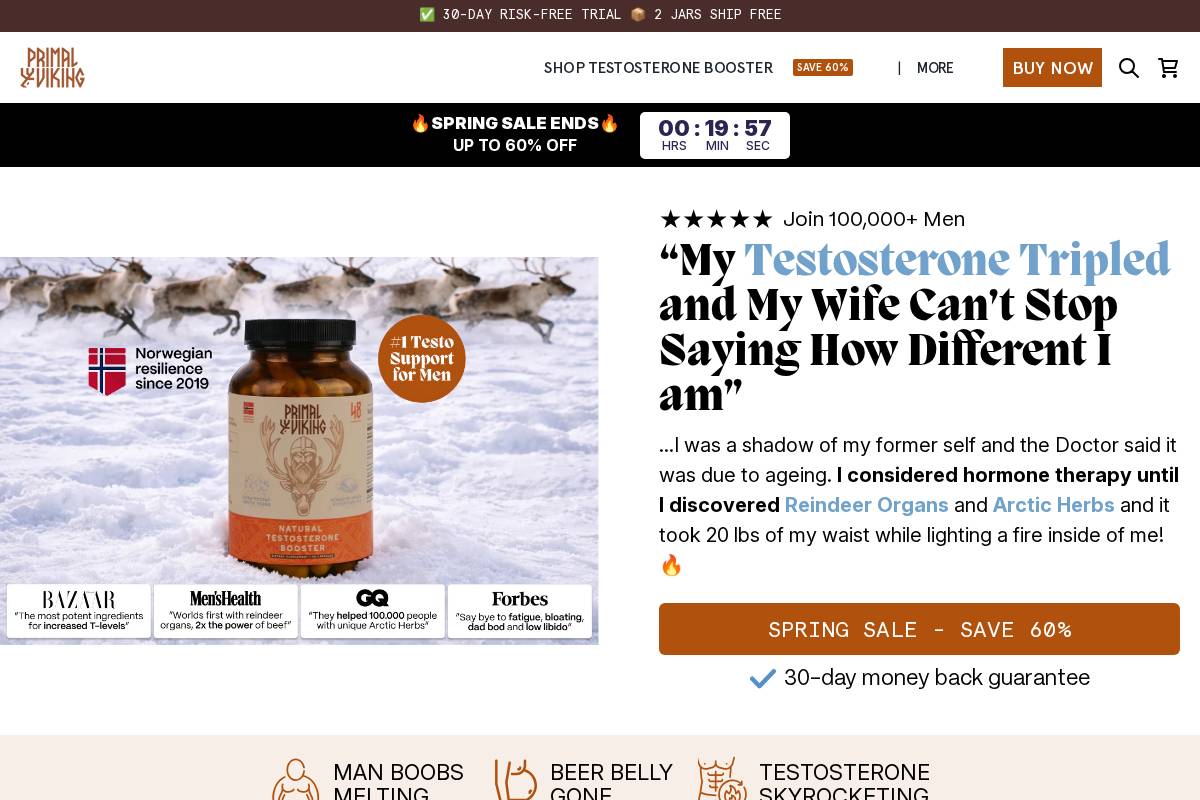 Primalviking homepage screenshot