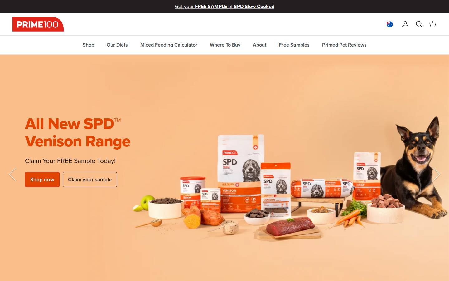 Prime100 homepage screenshot