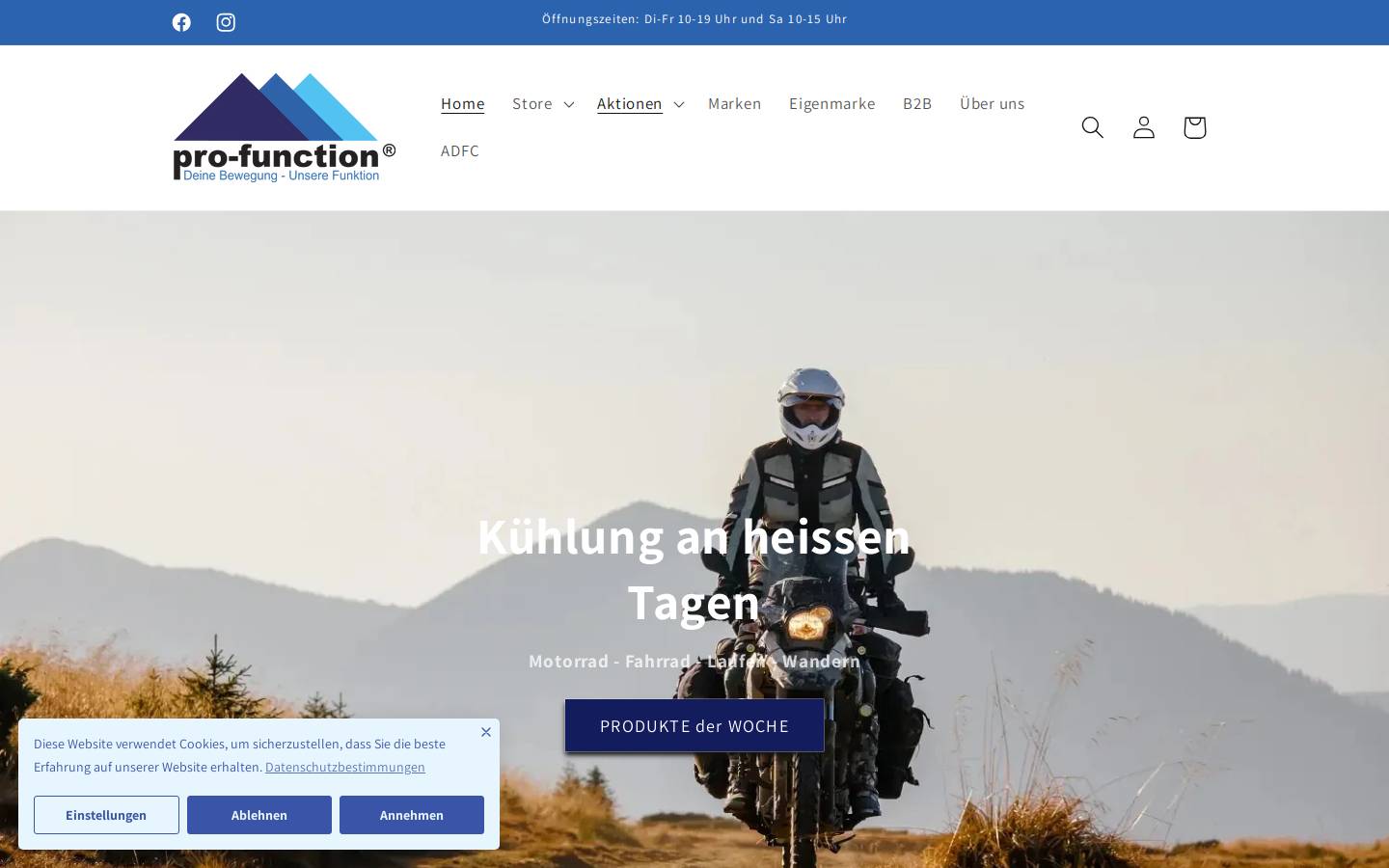 pro-function.com homepage screenshot