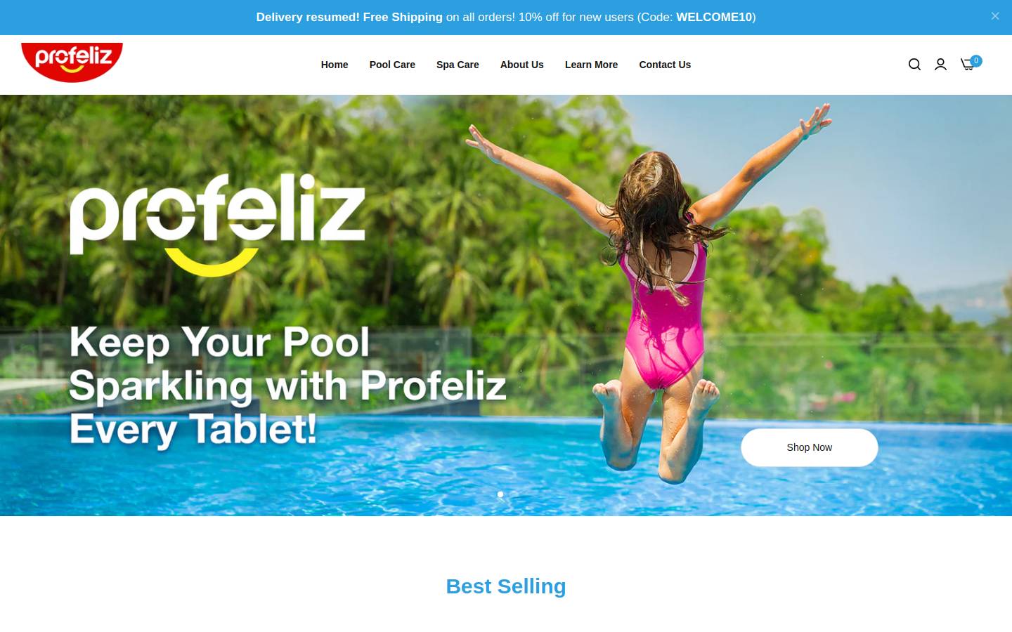 profeliz.com homepage screenshot