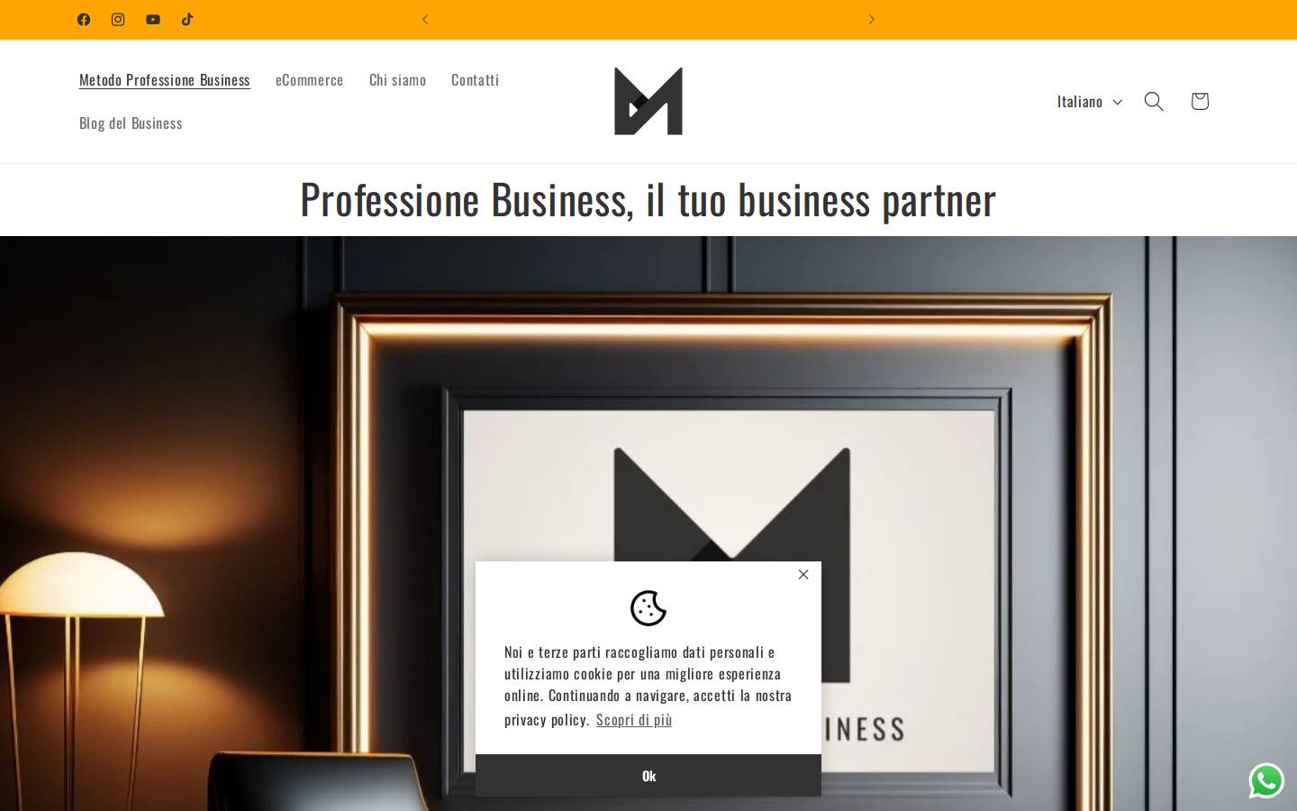 professionebusiness.com homepage screenshot