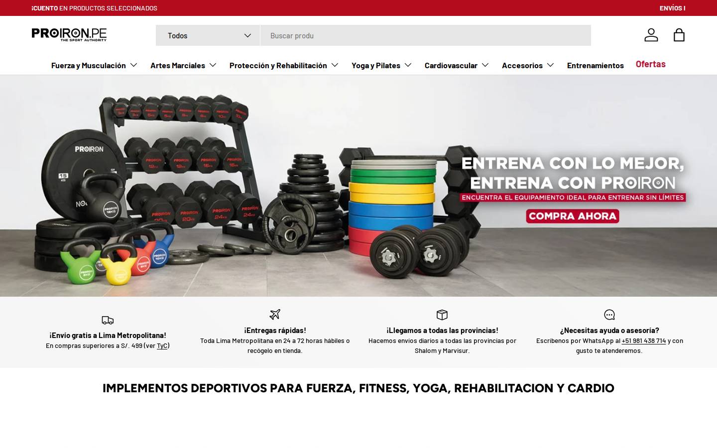 proiron.pe homepage screenshot