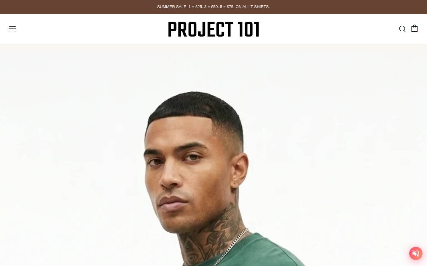 PROJECT 101 homepage screenshot