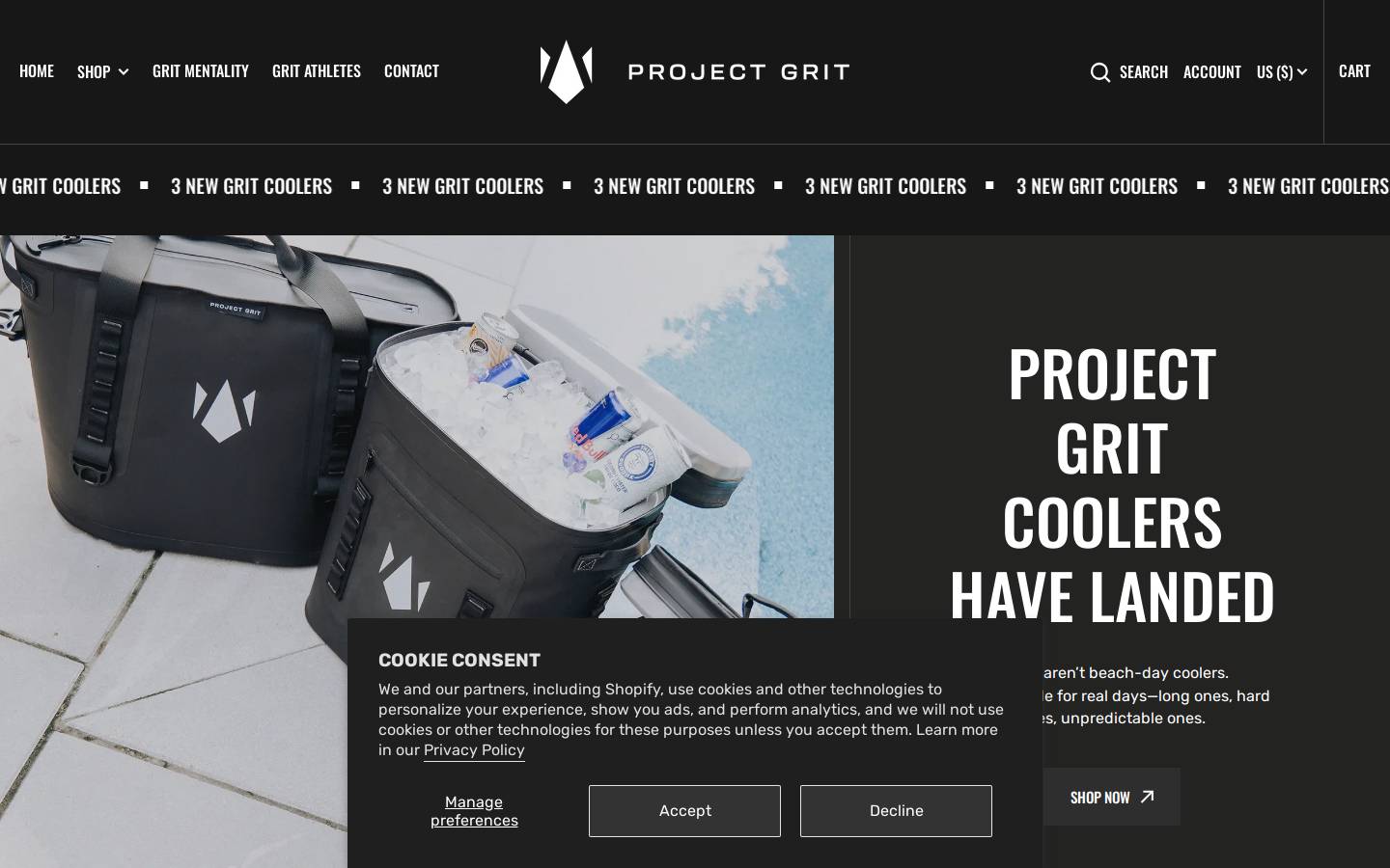 projectgrit.com homepage screenshot