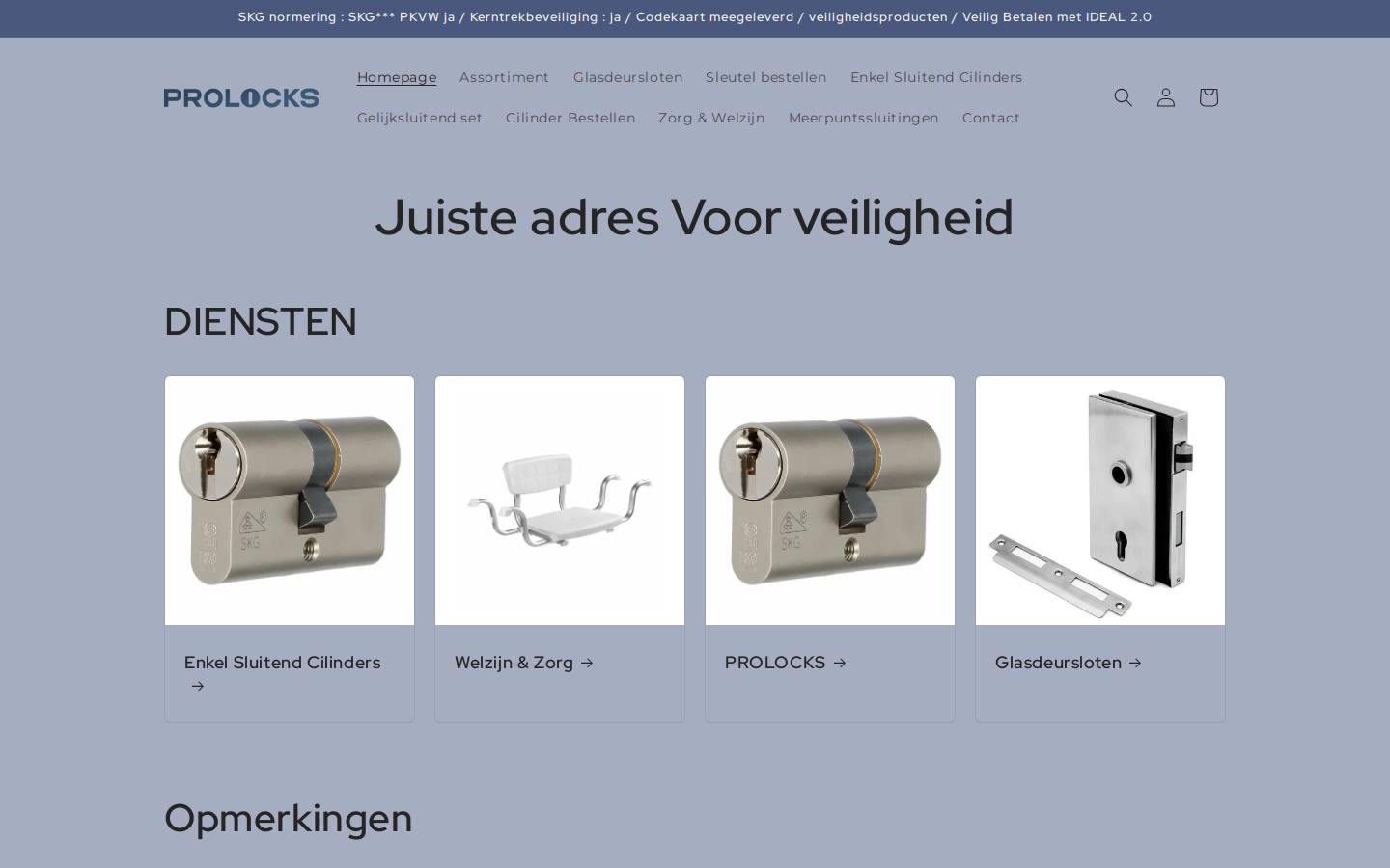prolocks.nl homepage screenshot