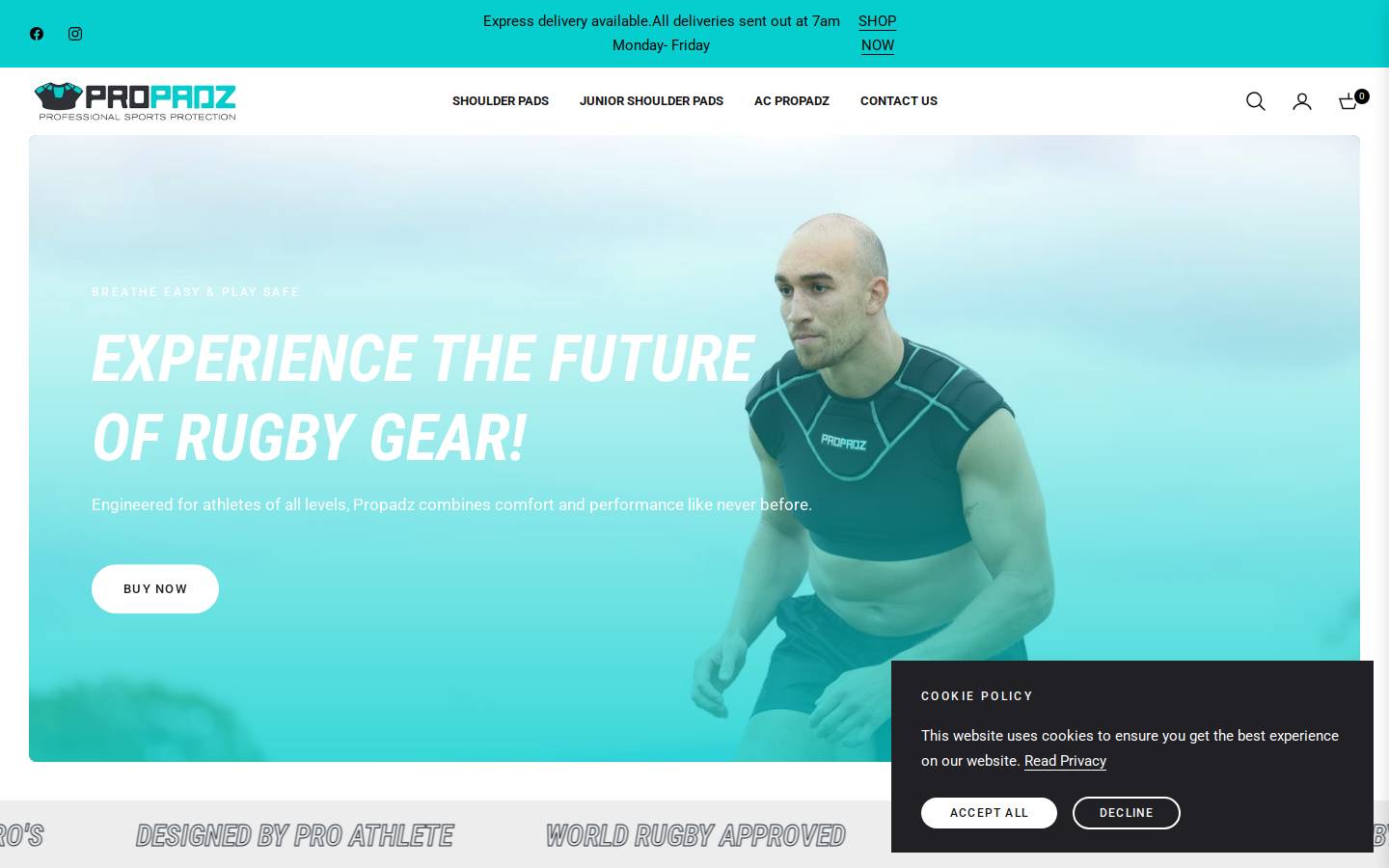 propadz.co.za homepage screenshot