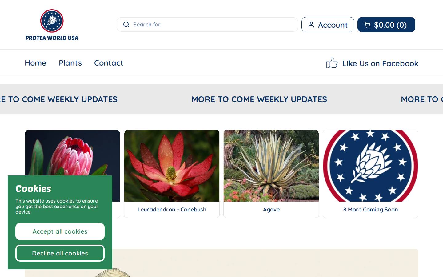 proteaworldusa.com homepage screenshot