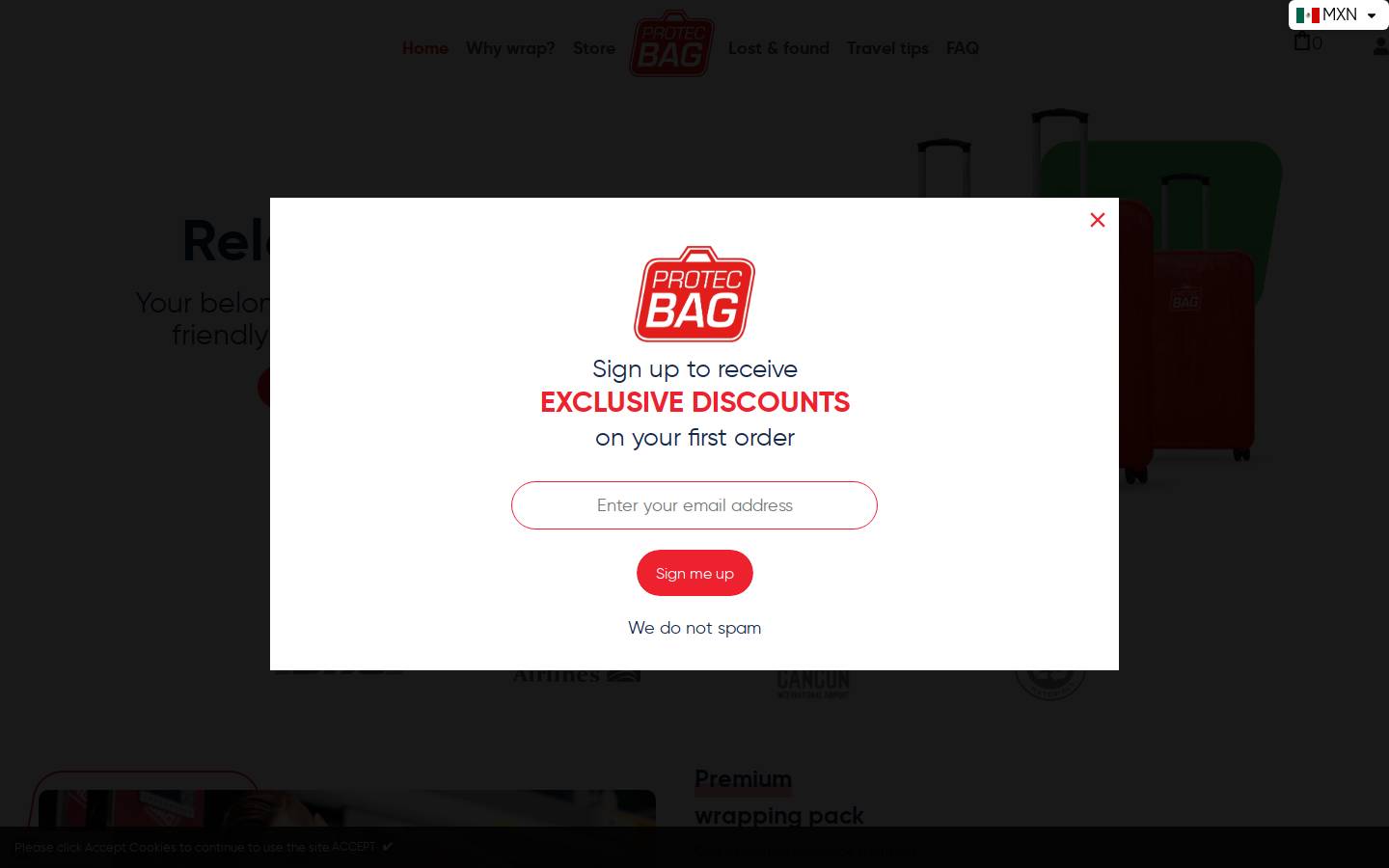 protecbag.com.mx homepage screenshot