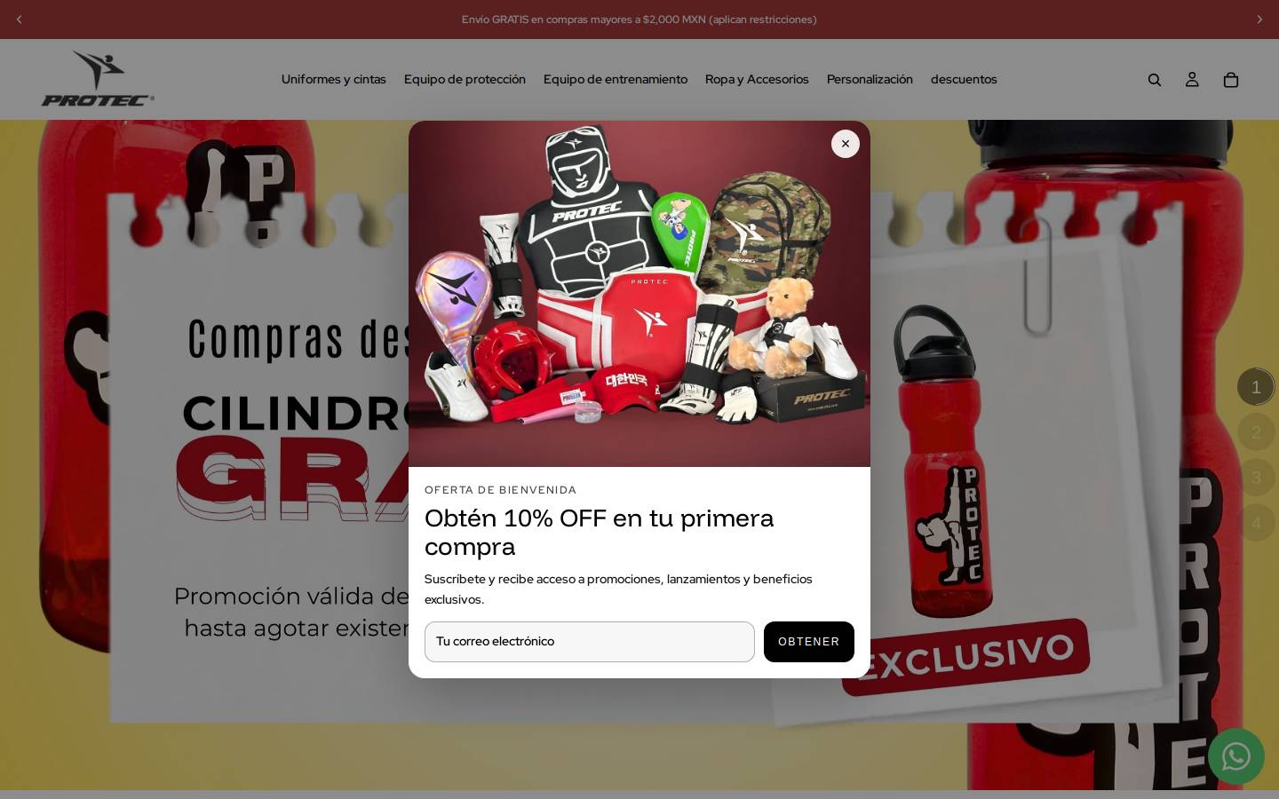 protecmartialarts.com homepage screenshot