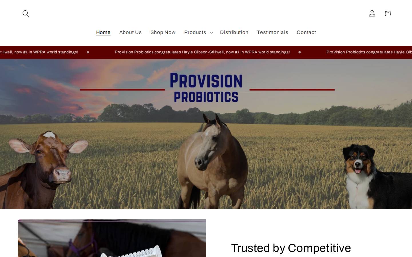 provisionprobiotics.com homepage screenshot