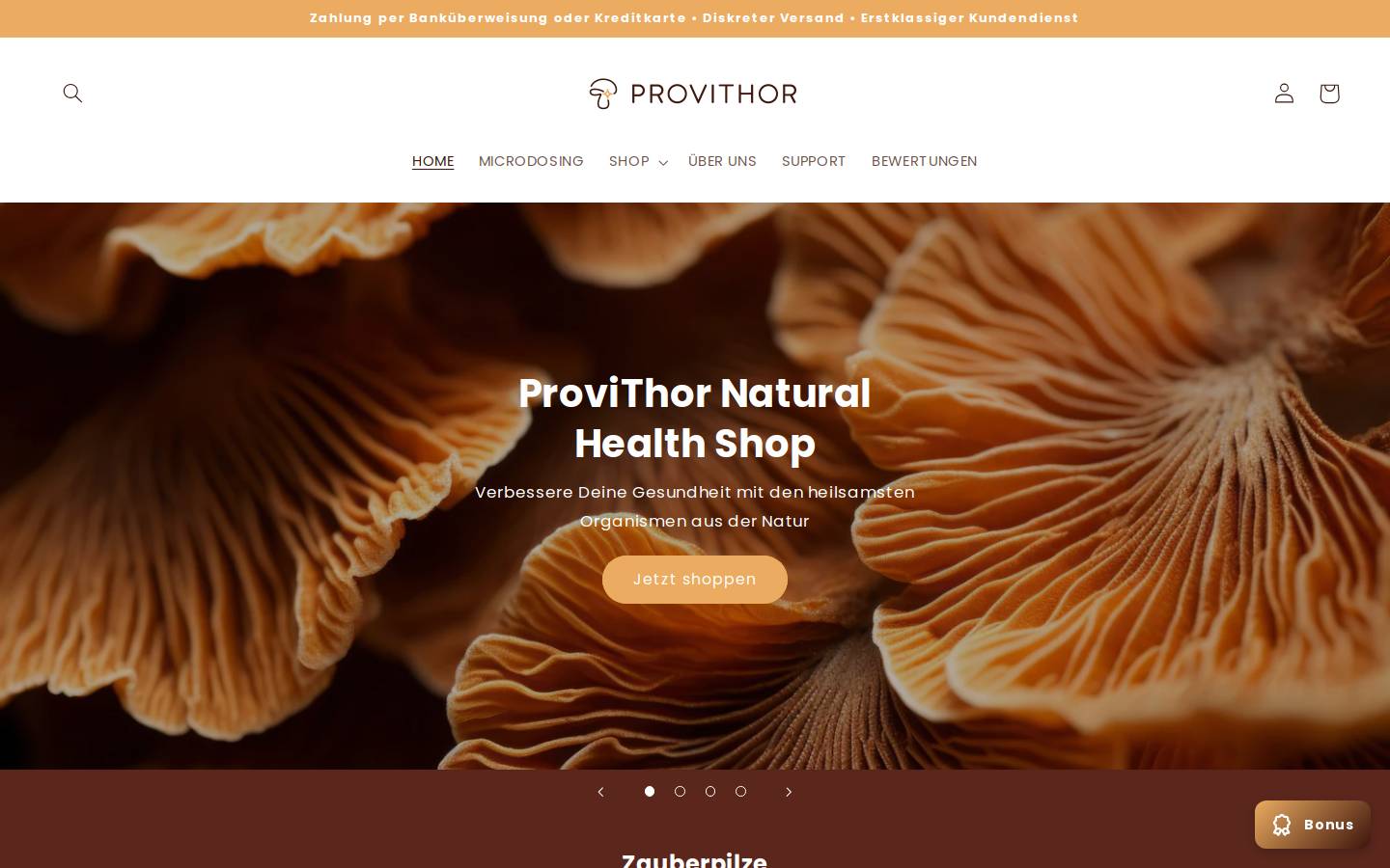 Provithor homepage screenshot