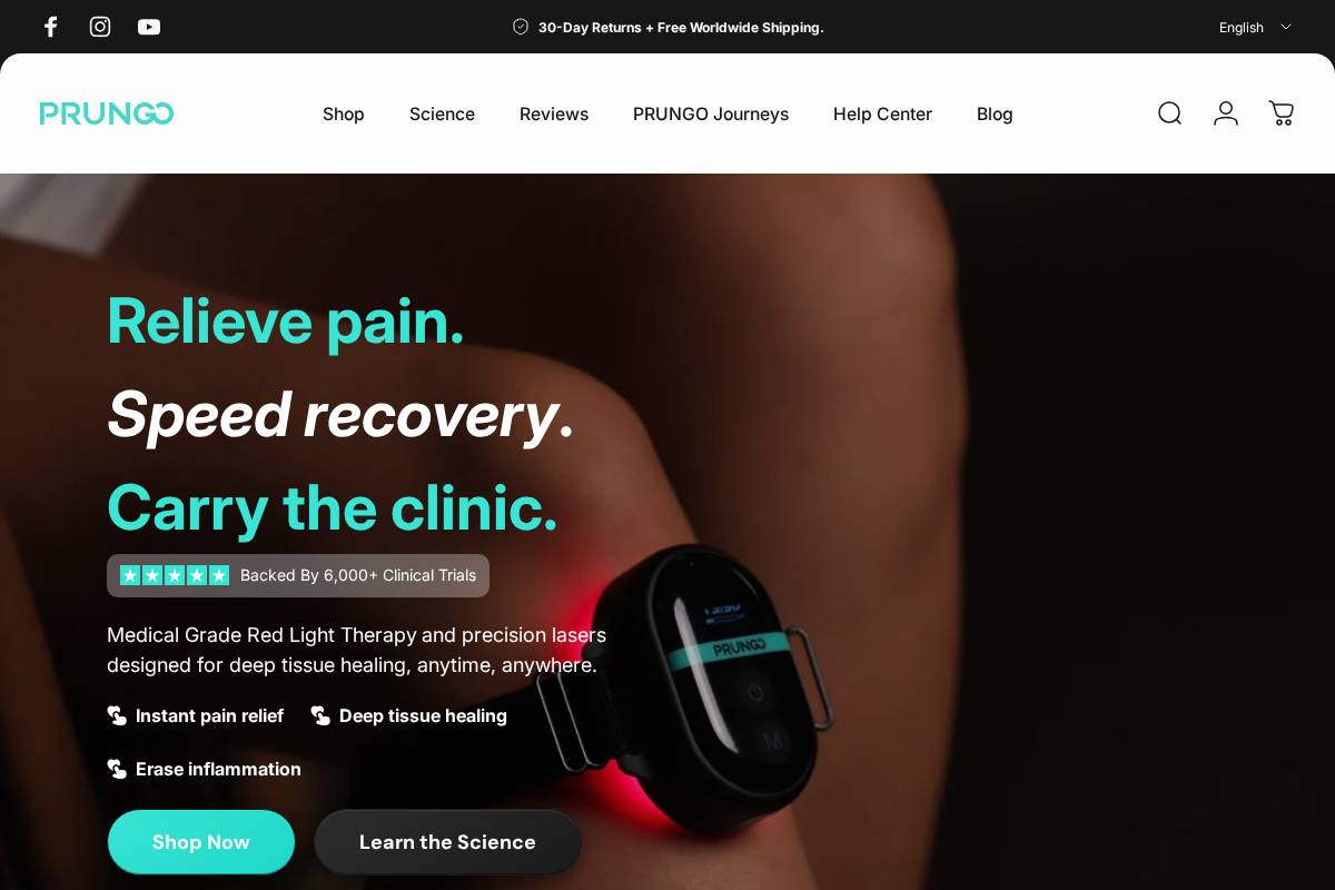 PRUNGO homepage screenshot