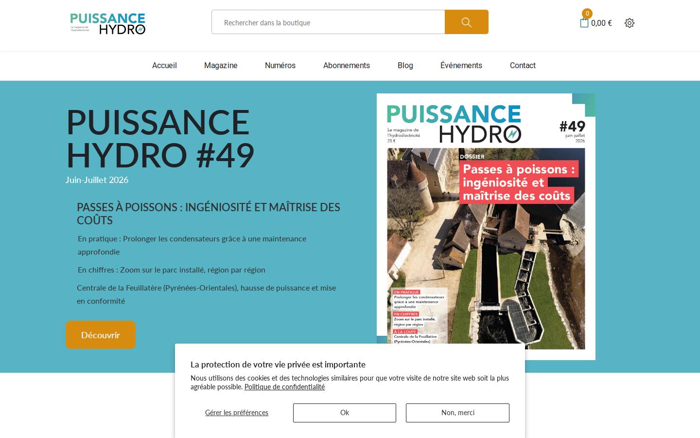 puissance-hydro.fr homepage screenshot