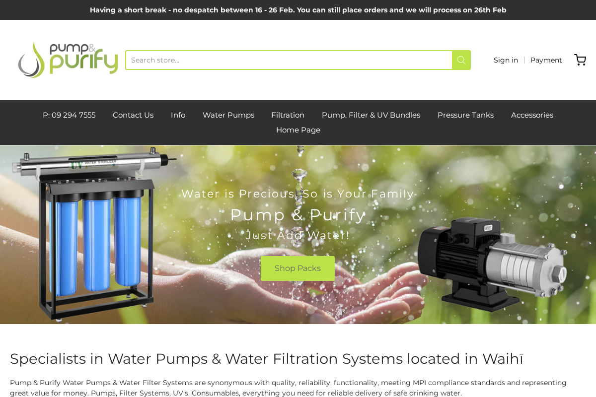 Pump & Purify homepage screenshot