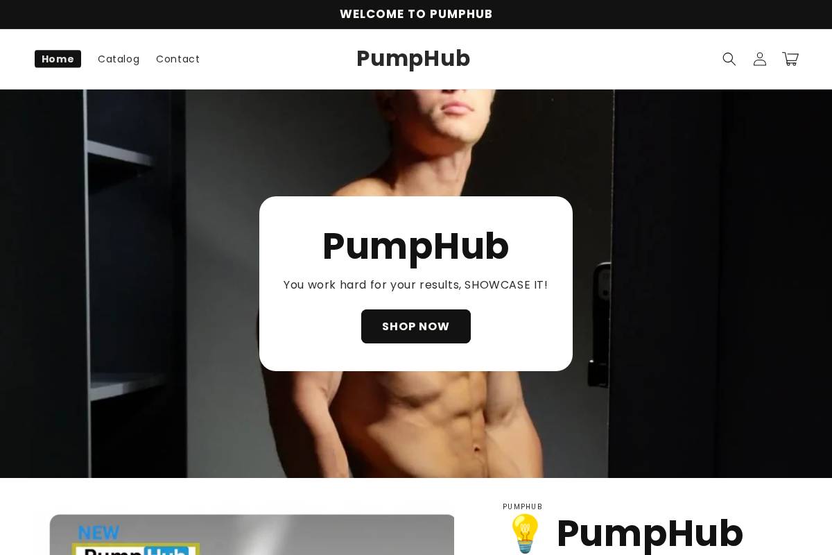 pumphub.co.za homepage screenshot