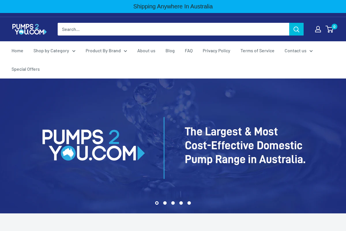 Pumps2You homepage screenshot