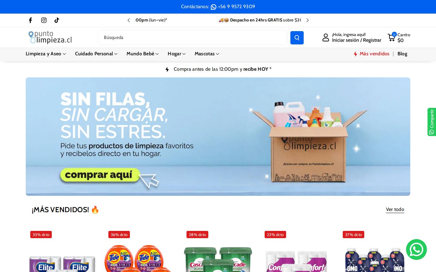 puntolimpieza.cl homepage screenshot