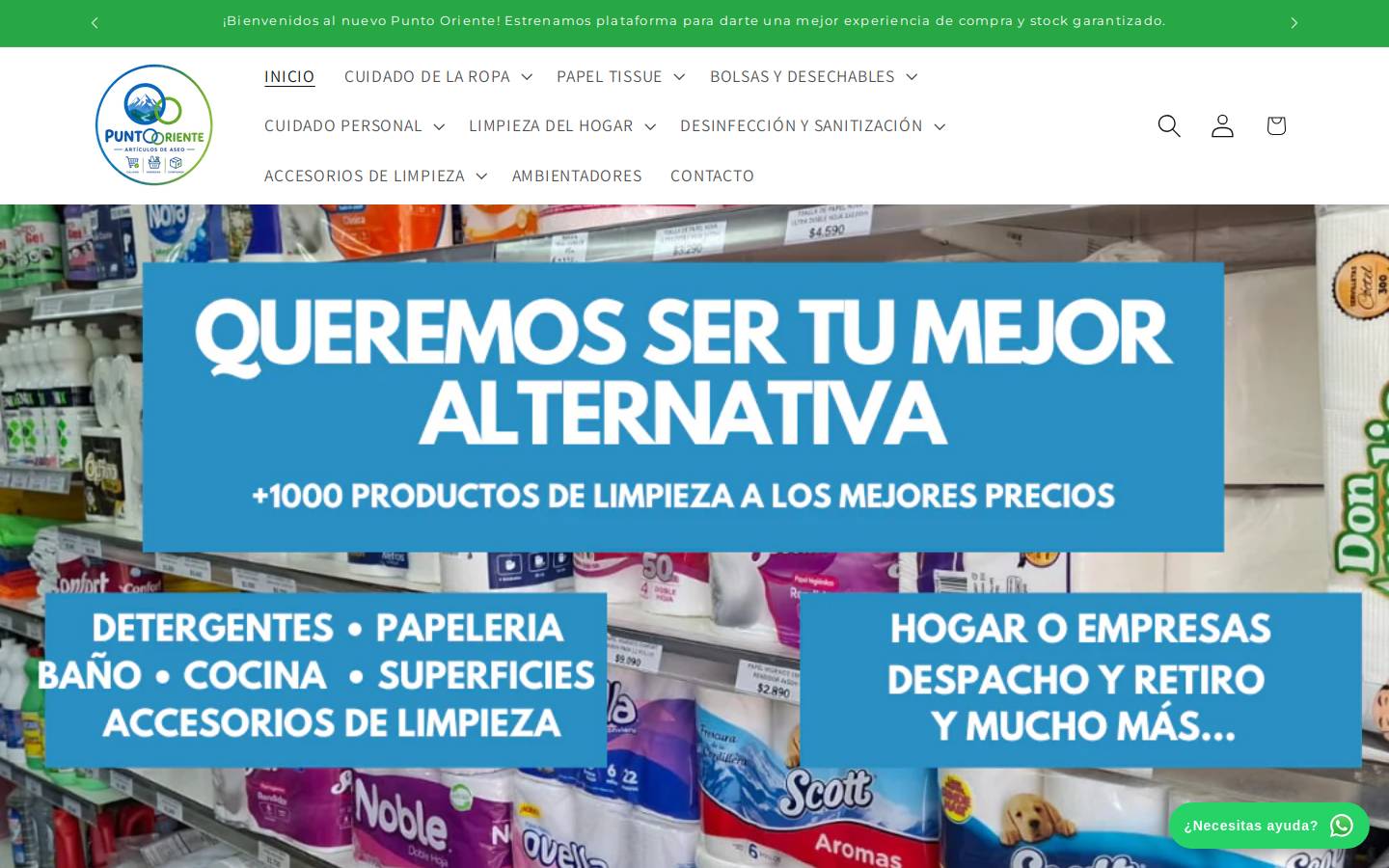 puntooriente.cl homepage screenshot