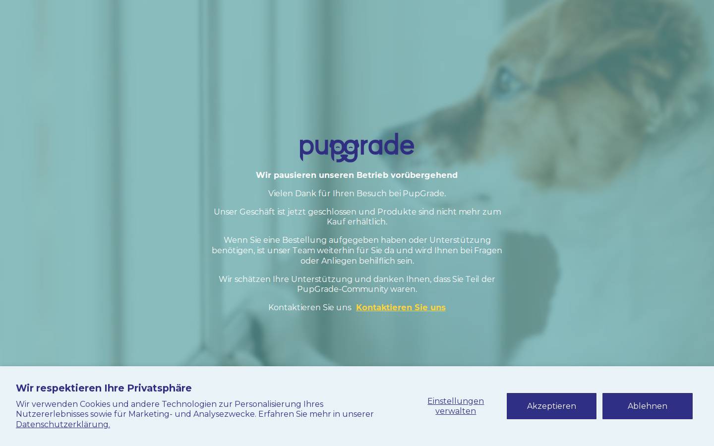 pupgrade.com homepage screenshot