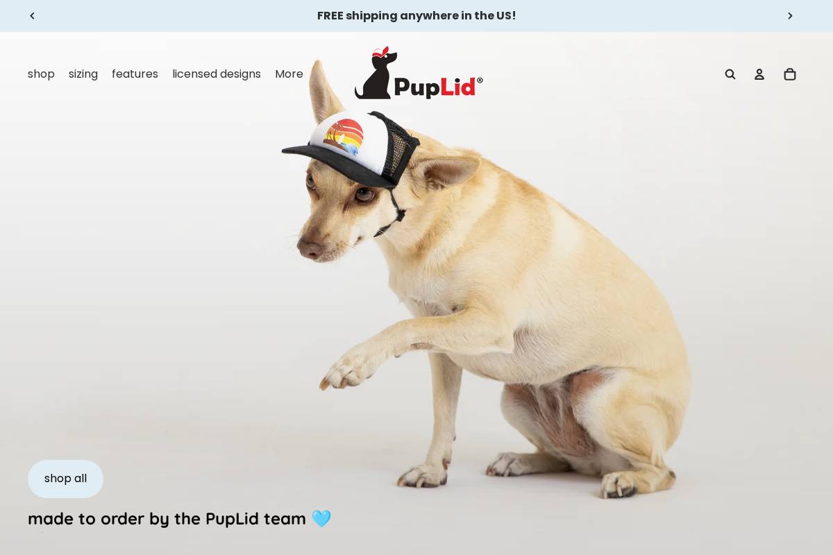 puplid.com homepage screenshot