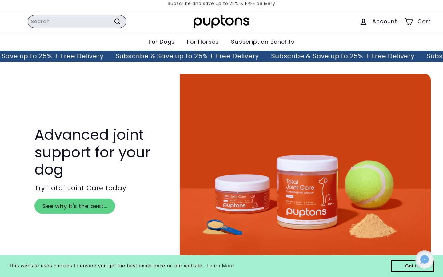 Puptons homepage screenshot