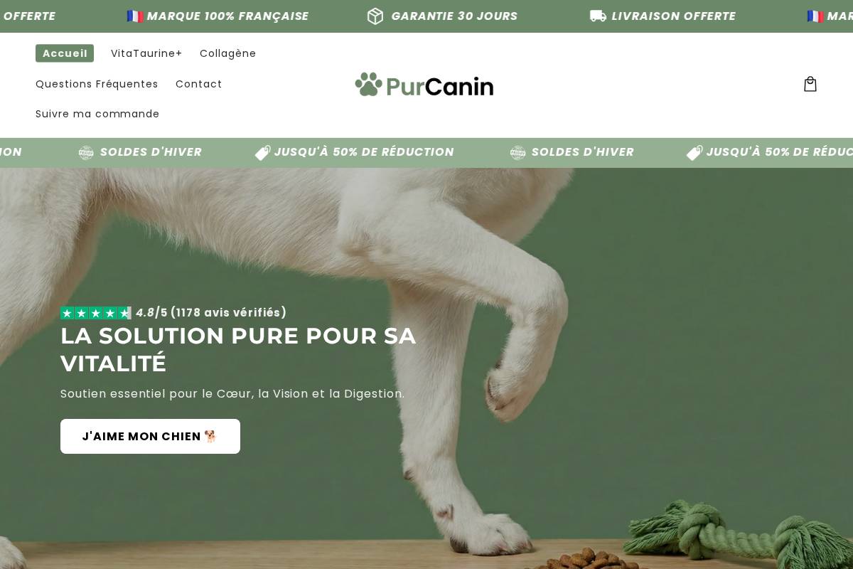 Purcanin homepage screenshot