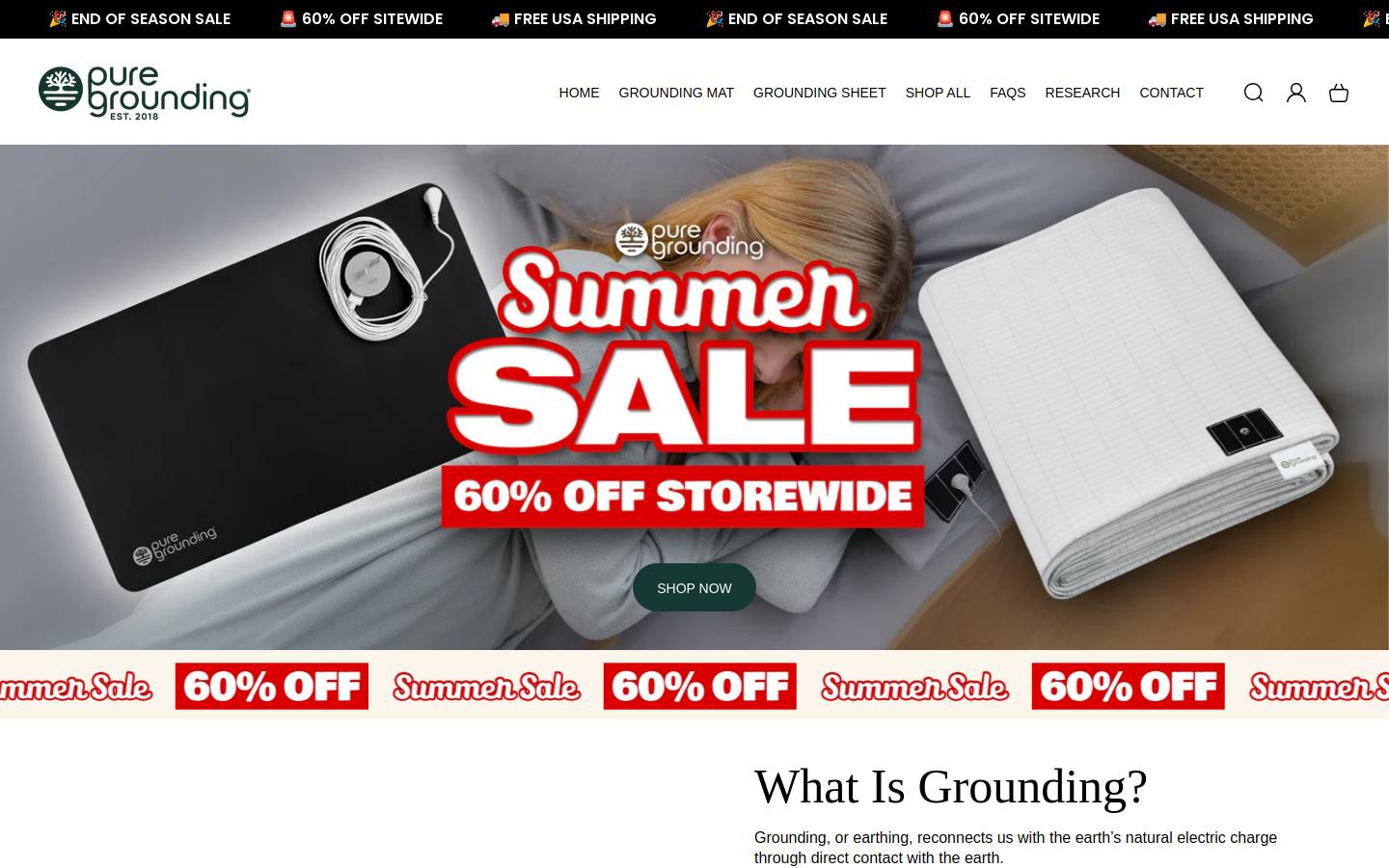 puregroundingusa.com homepage screenshot