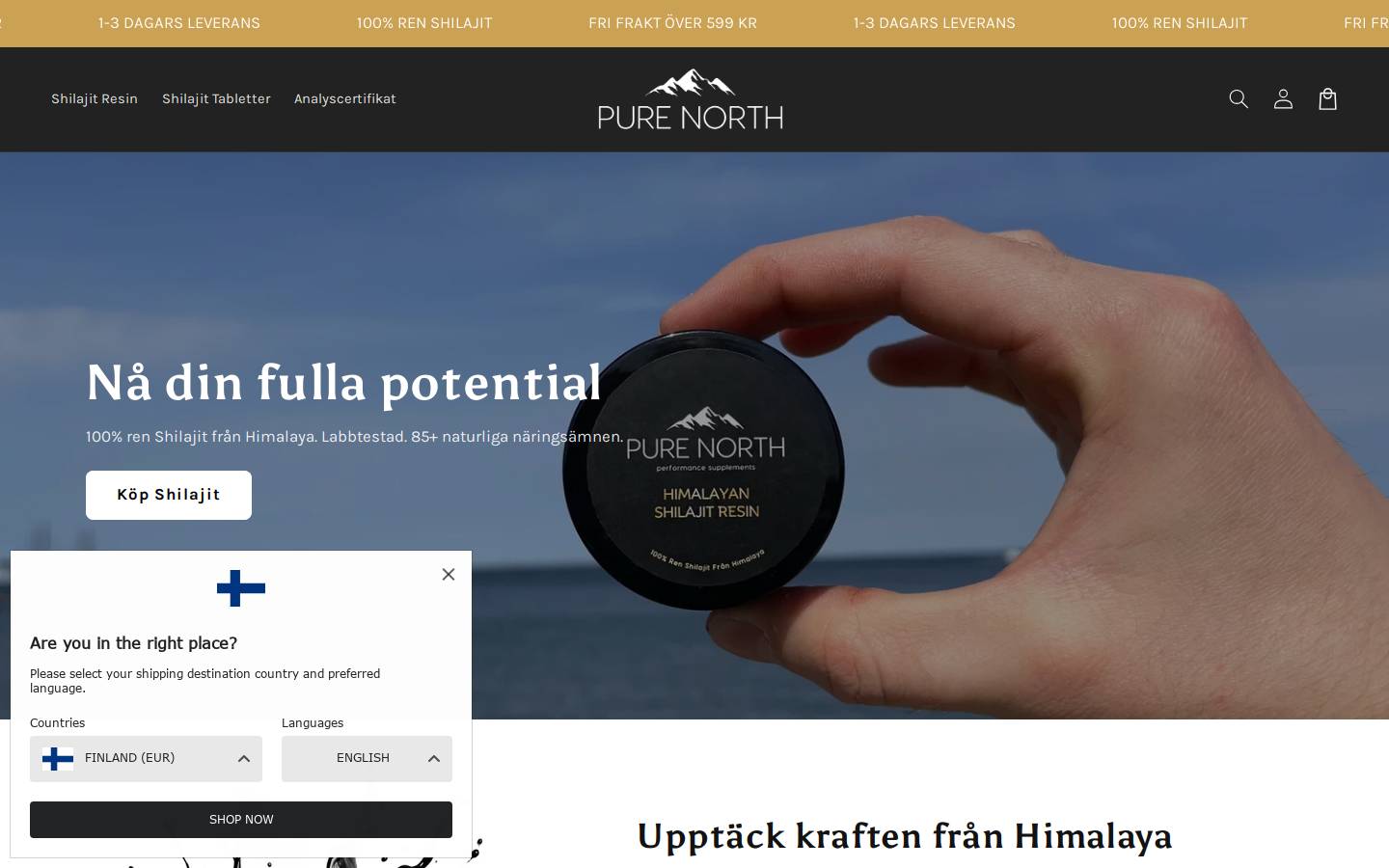 Pure North homepage screenshot