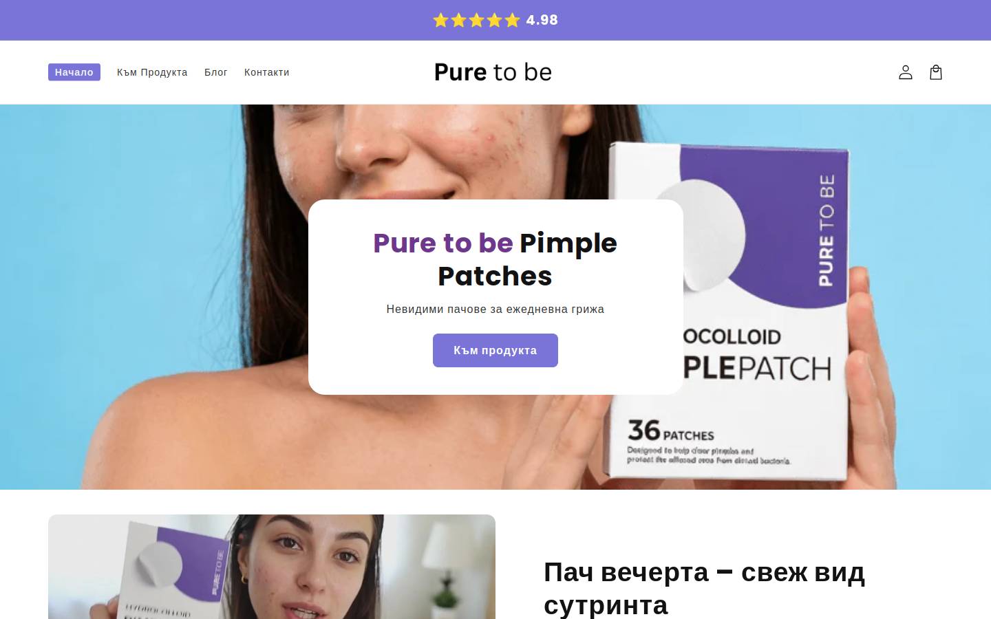 puretobe.com homepage screenshot
