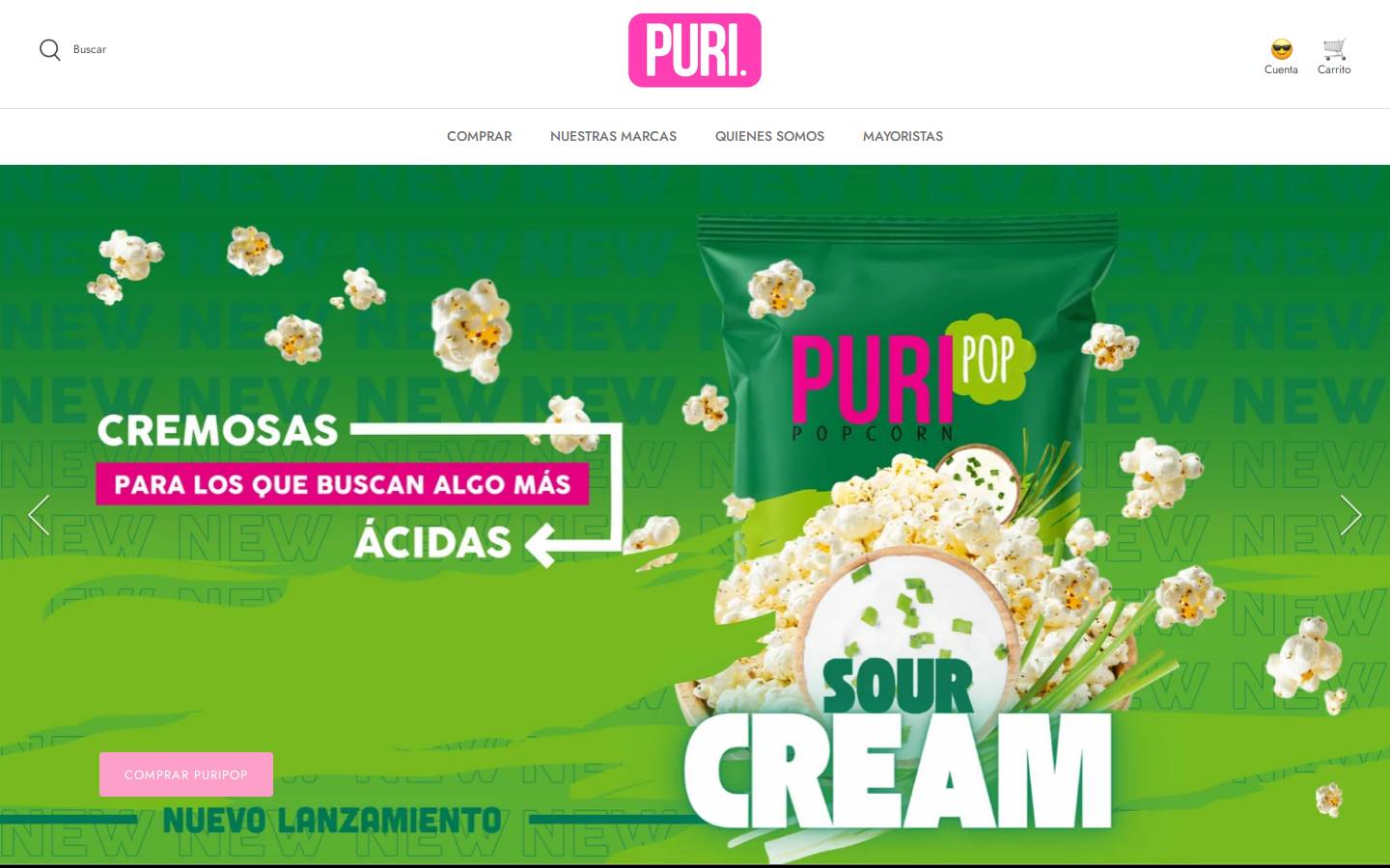 puricompany.com homepage screenshot