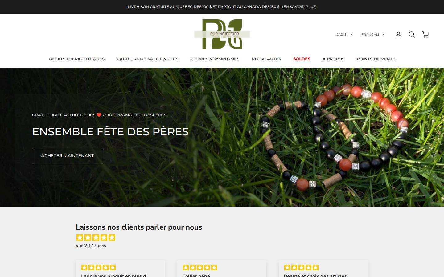 Purnoisetier homepage screenshot